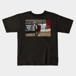 Clydesdale Kids T-Shirt